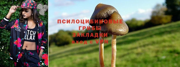 PSILOCYBIN Новокубанск