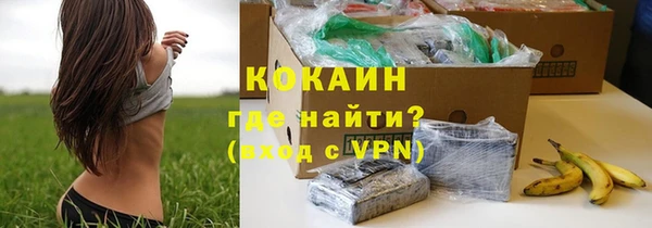 PSILOCYBIN Новокубанск