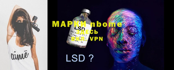PSILOCYBIN Новокубанск