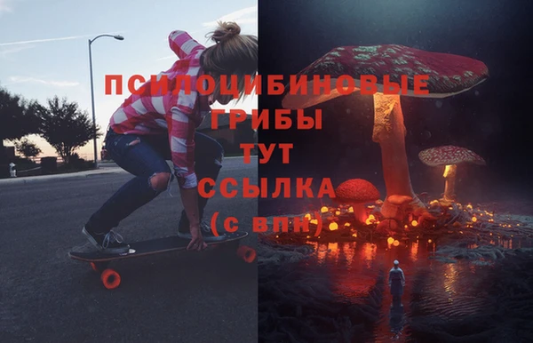 PSILOCYBIN Новокубанск